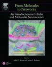 From Molecules to Networks : An Introduction to Cellular and Molecular Neuroscience - eBook