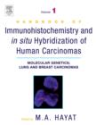 Handbook of Immunohistochemistry and in Situ Hybridization of Human Carcinomas : Molecular Genetics; Lung and Breast Carcinomas - eBook