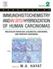 Handbook of Immunohistochemistry and in Situ Hybridization of Human Carcinomas : Molecular Pathology, Colorectal Carcinoma, and Prostate Carcinoma - M. A. Hayat