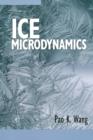 Ice Microdynamics - eBook