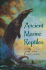 Ancient Marine Reptiles - eBook