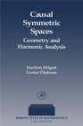 Causal Symmetric Spaces - eBook