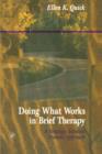 Doing What Works in Brief Therapy : A Strategic Solution Focused Approach - eBook