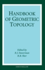 Handbook of Geometric Topology - eBook