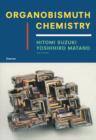Organobismuth Chemistry - eBook
