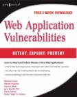Web Application Vulnerabilities : Detect, Exploit, Prevent - eBook