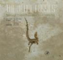 The Jehol Fossils : The Emergence of Feathered Dinosaurs, Beaked Birds and Flowering Plants - eBook
