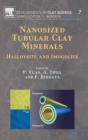 Nanosized Tubular Clay Minerals : Halloysite and Imogolite Volume 7 - Book