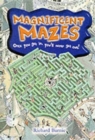 Magnificent Mazes - Book