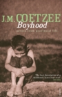 Boyhood : Scenes from provincial life - Book