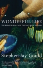 Wonderful Life - Book