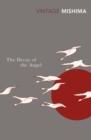 The Decay Of The Angel - Book