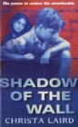 Shadow Of The Wall - Book