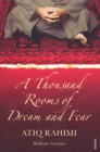A Thousand Rooms of Dream and Fear - Book