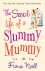 The Secret Life of a Slummy Mummy - Book