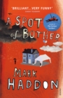 A Spot of Bother - Book