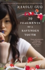 20 Fragments of a Ravenous Youth - Book