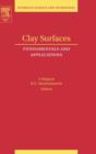 Clay Surfaces : Fundamentals and Applications Volume 1 - Book
