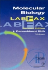 Molecular Biology LabFax : Recombinant DNA Volume 1 - Book