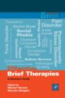 Effective Brief Therapies : A Clinician's Guide - Book