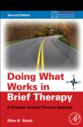 Doing What Works in Brief Therapy : A Strategic Solution Focused Approach - Book