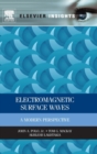 Electromagnetic Surface Waves : A Modern Perspective - Book