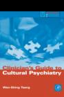 Clinician's Guide to Cultural Psychiatry - Book