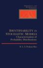 Identifiability In Stochastic Models - eBook