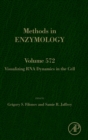 Visualizing RNA Dynamics in the Cell : Volume 572 - Book
