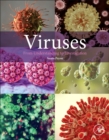 Viruses : From Understanding to Investigation - Book