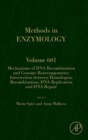 Mechanisms of DNA Recombination and Genome Rearrangements: Intersection Between Homologous Recombination, DNA Replication and DNA Repair : Volume 601 - Book