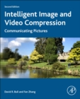 Intelligent Image and Video Compression : Communicating Pictures - Book