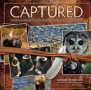 Captured : Lessons from Behind the Lens of a Legendary Wildlife Photographer - eBook