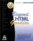 Beyond HTML Goodies - INT Media Group