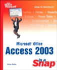 Microsoft Office Access 2003 in a Snap - Alison Balter