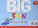 Big Fun 1 Picture Cards - Book