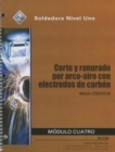 ES29104-09 Air Carbon Arc Cutting and Gouging Trainee Guide in Spanish - Book