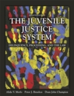The Juvenile Justice System : Delinquency, Processing, and the Law - Book