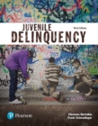 Juvenile Delinquency (Justice Series) - Book