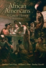 African Americans : A Concise History - Book