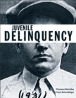 Juvenile Delinquency : A Brief Introduction - Book