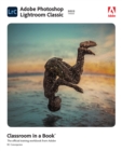 Adobe Photoshop Lightroom Classic Classroom in a Book (2022 release) -- VitalSource (ACC) - eBook