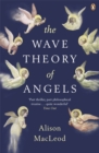 The Wave Theory of Angels - Book