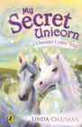My Secret Unicorn: Dreams Come True - Book