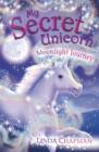 My Secret Unicorn: Moonlight Journey - Book