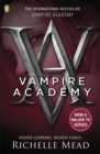 Vampire Academy (book 1) - Book