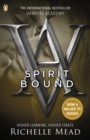Vampire Academy: Spirit Bound (book 5) - Book