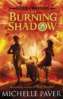 The Burning Shadow (Gods and Warriors Book 2) - Book