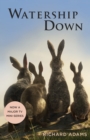 Watership Down - Book