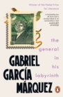 The General in His Labyrinth - eBook